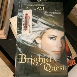 Brighids quest book!